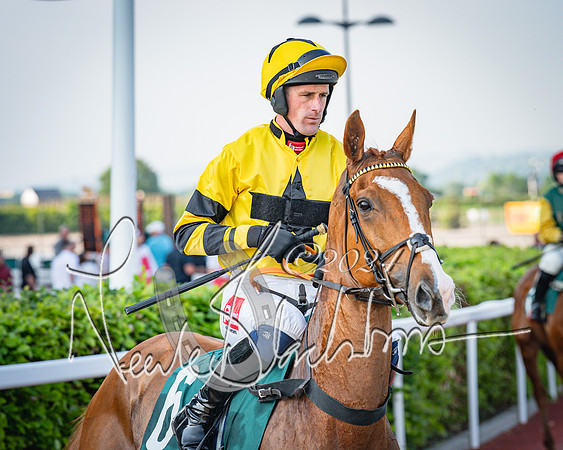 Race 3 - The Junior Jumpers open hunter's steeple chase 3m1f56y (38 of 156)