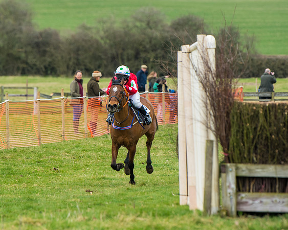 Pony Race 2 (46 of 162)