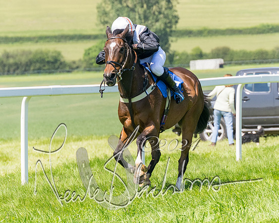 Pony Races  (97 of 141)