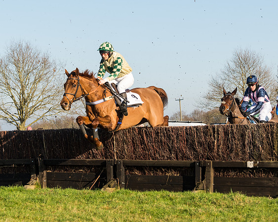 Race 2 - PPORA Novice Riders  (88 of 205)