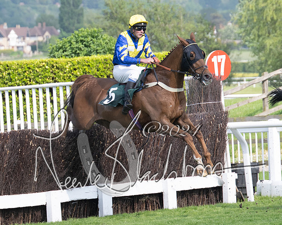Race 1 - The Bottle Green Open Hunters steeplechase 2m62y (32 of 93)