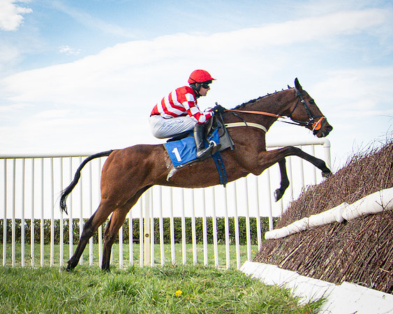 Race 4- The Cala homes Mixed Open Race (52 of 78)