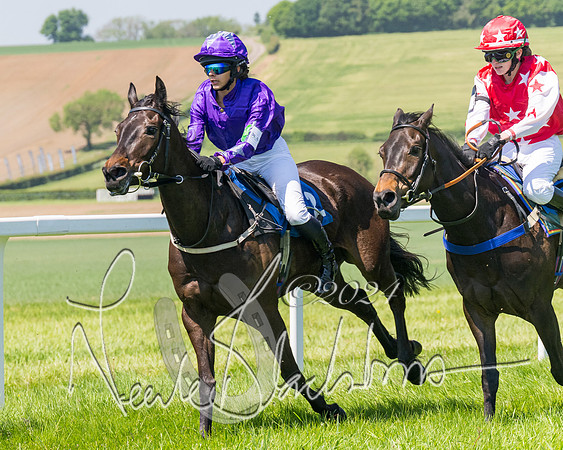 Pony Races  (92 of 141)