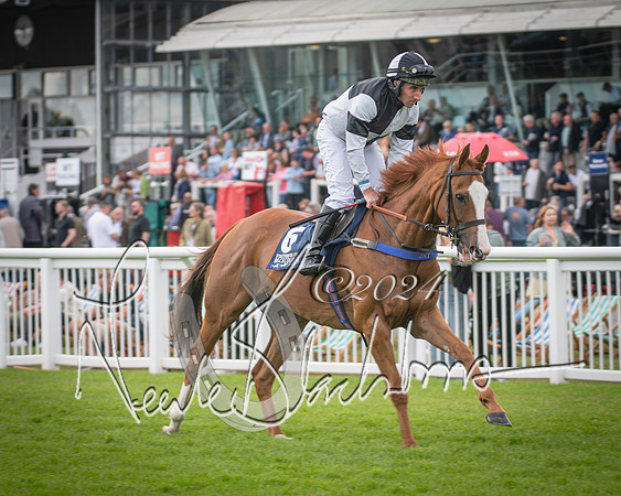 Race 1 - Pointing Pointers Restricted Final (26 of 79)