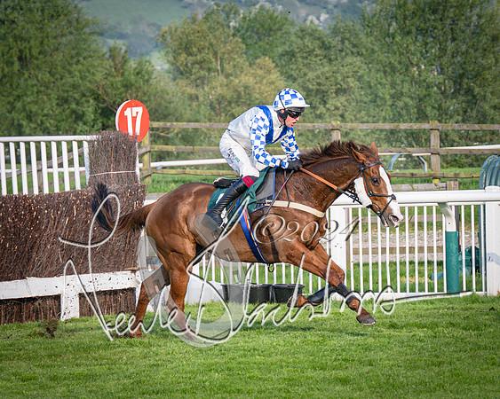 Race 4 - The Jonathan Neesom memorial open Hunter’s steeplechase 3m2f 70y (71 of 167)