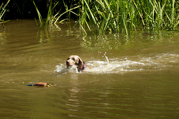 WCGB-04AUG-2013 Water Training Day 165
