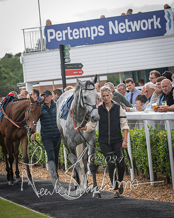 Race 1 - Pointing Pointers Restricted Final (7 of 79)