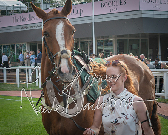 Race 5 - Mares Open Hunter Steeplechase 3m2f 70y (4 of 269)