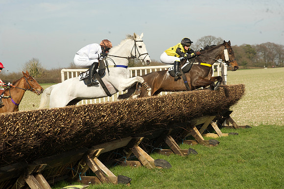 Race 2 Open Maiden Div 1 -  48