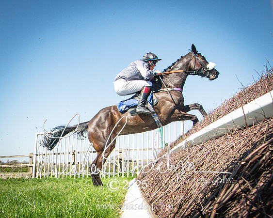 Race 2 - The Maiden (88 of 118)
