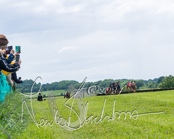 Race 7 - Hound Race etc (82 of 108)