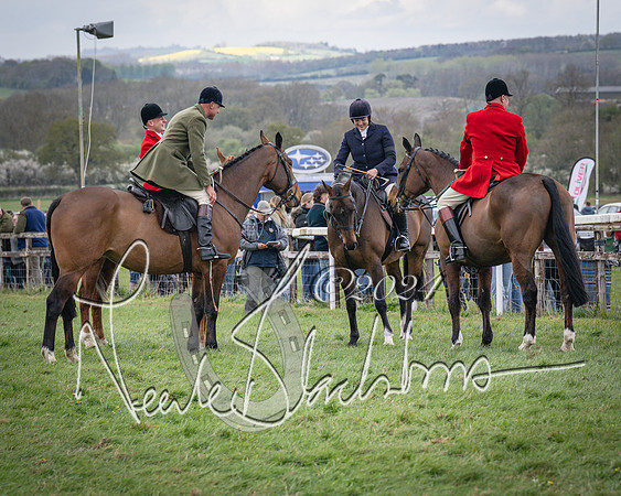 Race 2 - Tattersalls Cheltenham 4 year old Maiden (11 of 85)