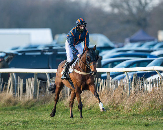 Race 2 - PPORA Novice Riders  (5 of 205)