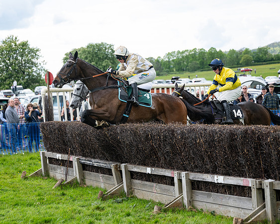 Race 5  - Maiden  (46 of 84)