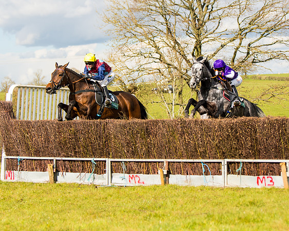 Race 5 - Restricted  (33 of 118)