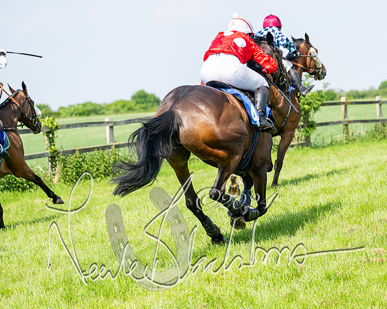 Race 3 - Ladies Open  (113 of 133)