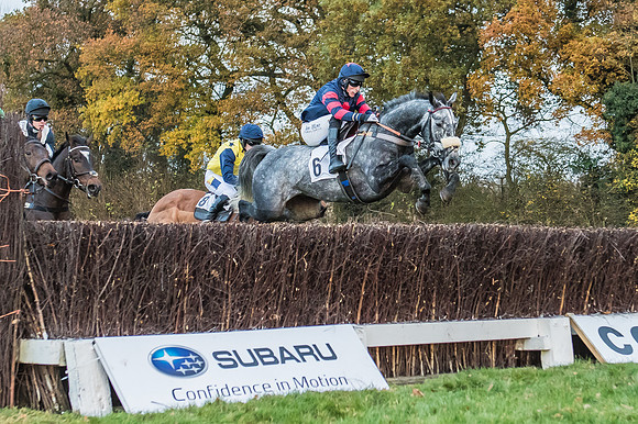 2 Mile 4 Furlong Maiden Race -10