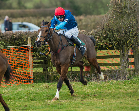 Pony Race 3 (41 of 67)