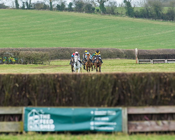 Pony Race 3 (12 of 67)