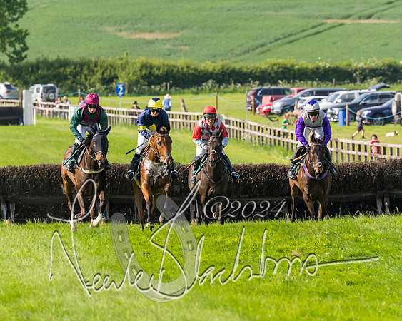 Race 6 - Owner trainer conditions (87 of 272)