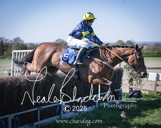 Race 5 - The restricted (104 of 113)