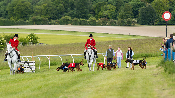 Hound Race  (42 of 49)