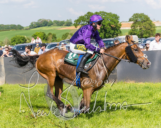 Race 4 - PPORA Novice Riders Final  (190 of 362)