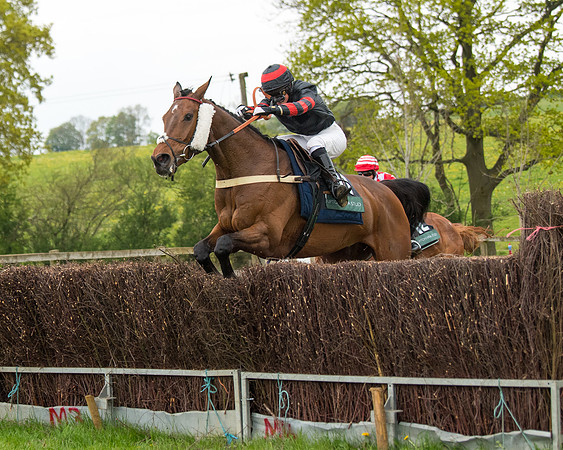 Race 6 - Restricted (126 of 173)