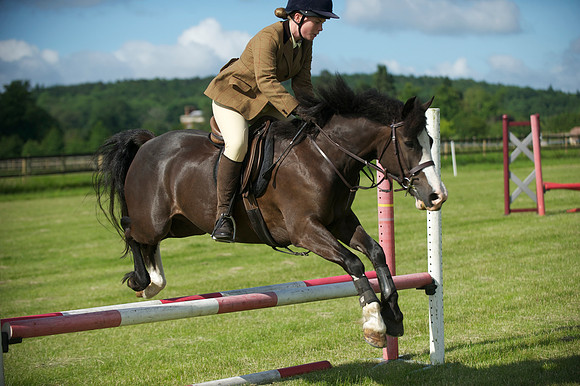 SOHS PC Summer Show at BCA 17th June 2012