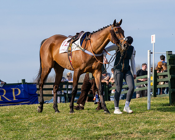 Race 5 - PPORA Five years and over (31 of 163)
