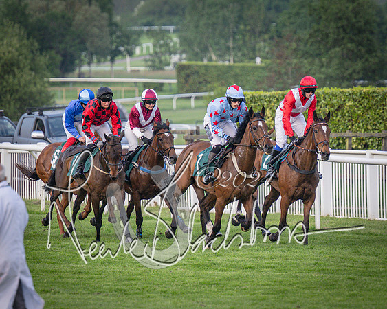 Race 5 - Mares Open Hunter Steeplechase 3m2f 70y (70 of 269)