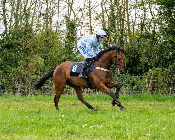 Race 3 - Young Horse Maiden (10 of 216)