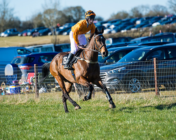 Race 6 - Restricted  (12 of 291)