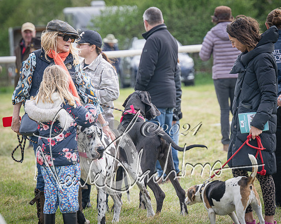 Pony Race 2 (78 of 84)-