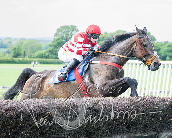 Race 2 - Restricted  (252 of 308)