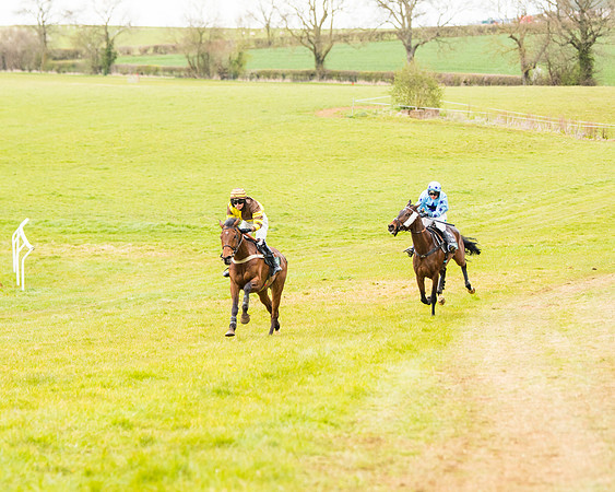 Race 6 - 6 year old and over Maiden 2m4f (27 of 62)