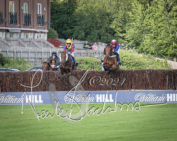 Race 2 - Olly Murphy Racing Stratford Ladies Open (83 of 111)