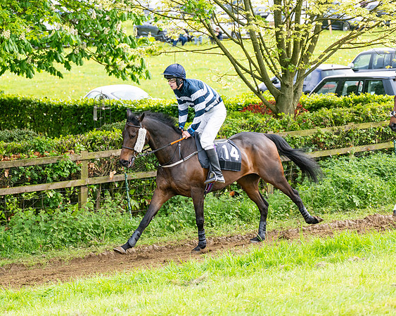 Race 5  - Novice riders (28 of 188)