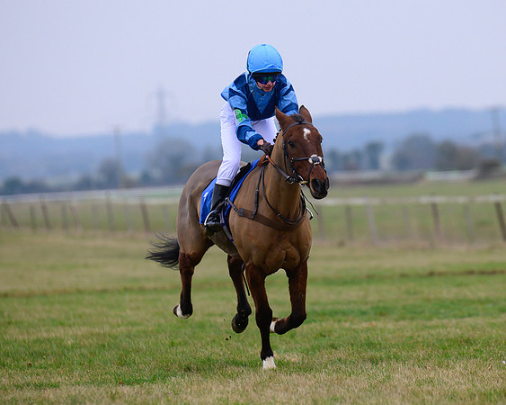 Pony Race 3 - 148cm Open  (64 of 143)