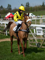 Pony Race 2 -  6
