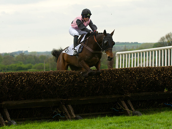 Race 4 - Nov-vets 27