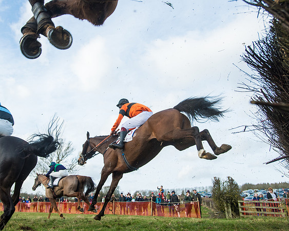 Race 5 - PPORA Conditions 2 - 8 and over  (72 of 156)