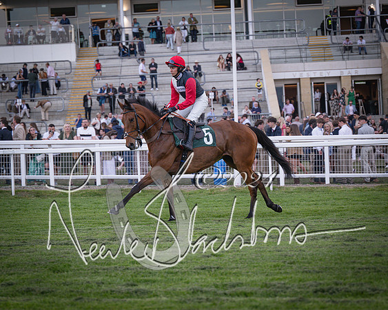 Race - 7 The Royal Gloucester Hussars Open Hunter's steeplechase 2m4f 127y (24 of 210)