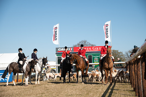 Hunt Horses annd Hound parade (7 of 44)