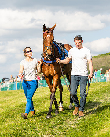 Race 6 - Maiden [2m4f] (6 of 135)