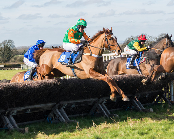 Race 1 - Open Maiden Division 1 (96 of 170)
