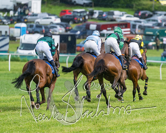 Race 4 - Mixed Open (154 of 591)