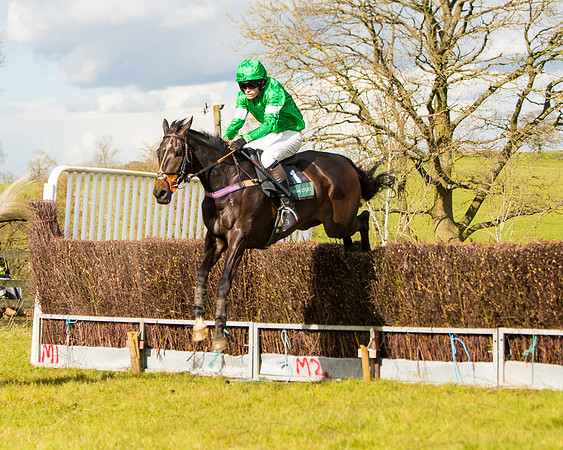 Race 5 - Restricted  (48 of 118)