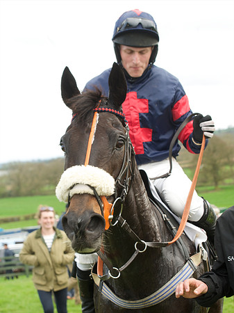 Race 5 - Restricted  81