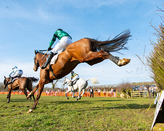 Race 5 - PPORA Five years and over (121 of 163)